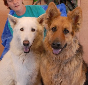 a Spirit and Kody
